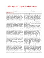 Tổng hợp 39 bài luận mẫu về sở thích