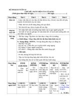 CHỦ đề NGÀY hội của cô GIÁO 