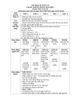 TUAN 18  CHỦ đề  NHỮNG BÔNG HOA đẹp 