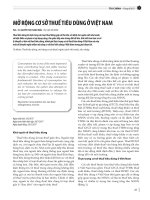 Mở rộng cơ sở thuế tiêu dùng ở Việt Nam