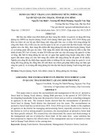 Đánh giá thực trạng lấn chiếm đất rừng phòng hộ tại huyện Quảng Trạch, tỉnh Quảng Bình