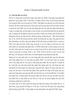 (Luận văn thạc sĩ) Hành vi mua của người tiêu dùng việt nam đối với thực phẩm hữu cơ   thực trạng và giải pháp