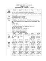 giáo án mầm non chủ đề cây xanh 