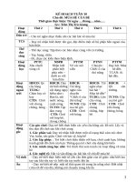 Chủ đề mùa hè của bé 