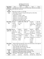 Tuần 8 BA mẹ của bé 