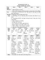 giáo án khối mầm non nhỡ TUẦN 15  NGHỀ xây DỰNG 