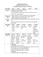 TUẦN 23 CHỦ đề  NGÀY tết VUI vẻ 