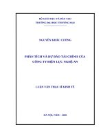 (Luận văn thạc sĩ) Phân tích và dự báo tài chính của công ty điện lực nghệ an