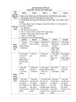 CHỦ đề NGÀY tết QUÊ EM 