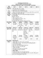 TUAN 20   CHỦ đề  NHỮNG BÔNG HOA đẹp 