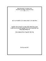 Nghiên cứu lý thuyết và thực tiễn chiến lược cạnh tranh của các doanh nghiệp việt nam trong lĩnh vực công nghệ thông tin 