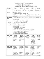 giáo án khối mầm non nhỡ 5 tháng đến 7 tháng CHỦ đề một số LOẠI QUẢ 