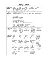 giáo án khối mầm non nhỡ CHỦ đề côn TRÙNG, CHIM 