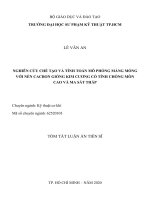 Nghiên cứu chế tạo và tính toán mô phỏng màng mỏng với nền cacbon giống kim cương có tính chống mòn cao và ma sát thấp tt 