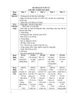 giáo án khối mầm non nhỡ CHỦ đề NGHỀ dạy học 