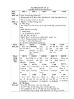 giáo án khối mầm non nhỡ chủ đề NGÀY tết QUÊ EM 