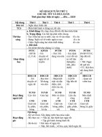 CHỦ đề tết và mùa XUÂN 