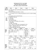 giáo án mầm non CHỦ đề một số LOẠI QUẢ 