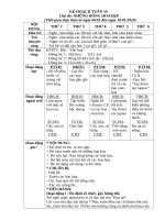 TUAN 19  CHỦ đề  NHỮNG BÔNG HOA đẹp 