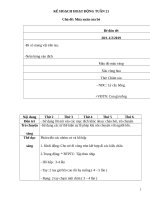 TUẦN 21 mùa XUÂN của bé 