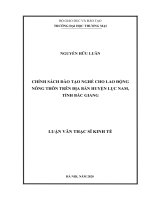 Chính sách đào tạo nghề cho lao động nông thôn trên địa bàn huyện lục nam, tỉnh bắc giang 