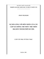 Sự hài lòng với hôn nhân của các cặp vợ chồng trí thức trẻ trên địa bàn thành phố hà nội   