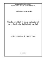 Nghiên cứu hành vi phạm pháp của trẻ em vị thành niên dưới góc độ gia đình   