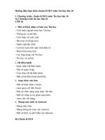 Hướng dẫn thực hiện chuẩn KTKN môn Tin học lớp 10