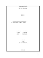 luận văn 21世紀の日本語新語における漢語的要素 