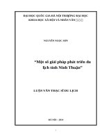 Một số giải pháp phát triển du lịch tỉnh ninh thuận    