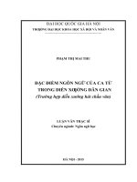 Đặc điểm ngôn ngữ của ca từ trong diễn xướng dân gian ( trường hợp diễn xướng hát chầu văn) 