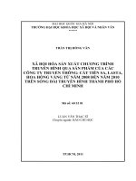 Xã hội hoá sản xuất chương trình truyền hình qua sản phẩm của các công ty truyền thông cát tiên sa, LASTA, hoa hồng vàng 