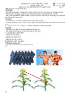 Chủ đề quần thể (T2)