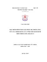 ĐẶC điểm HÌNH THÁI GIẢI PHẪU hệ THỐNG ỐNG tủy của NHÓM RĂNG cửa VĨNH VIỄN hàm dưới TRÊN PHIM CONE  BEAM CT 