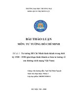Tư tưởng Hồ Chí Minh hình thành trong thời kỳ 1920 1930 (giai đoạn hình thành cơ bản tư tưởng về con đường cách mạng Việt Nam)
