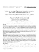 Nghiên cứu khả năng chống oxy hóa của thiamine (vitamin B1) bằng phương pháp phiếm hàm mật độ (DFT)