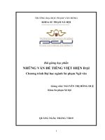 Bài giảng Những vấn đề tiếng Việt hiện đại: Phần 1 - ĐH Phạm Văn Đồng