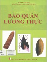 Giáo trình Bảo quản lương thực: Phần 1