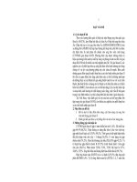 Tóm tắt Luận án tiến sĩ Y học: Đánh giá kết quả hóa xạ trị đồng thời trong ung thư vòm mũi họng giai đoạn II tại bệnh viện K