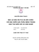 BỘC lộ dấu ấn p16 và đối CHIẾU với đặc điểm GIẢI PHẪU BỆNH TRONG UNG THƯ BIỂU mô vú xâm NHẬP 