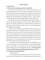 skkn PHÁT HUY NĂNG lực CHO học SINH TRUNG học PHỔ THÔNG THÔNG QUA HOẠT ĐỘNG NGOẠI KHOÁ KHOA học xã hội 