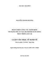 HOÀN THIỆN CÔNG tác THẨM ĐỊNH tín DỤNG đầu tư tại CHI NHÁNH NGÂN HÀNG PHÁT TRIỂN lào CAI 