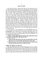 Tóm tắt Luận án tiến sĩ Y học: Nghiên cứu đặc điểm dịch tễ học lâm sàng, chẩn đoán trước và sau sinh các dị tật bẩm sinh ống tiêu hóa