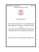 CHẤT LƯỢNG CUỘC SỐNG của NGƯỜI BỆNH NHÂN CHẤN THƯƠNG tủy SỐNG và VAI TRÒ của NHÂN VIÊN y tế TRONG hỗ TRỢ NGƯỜI BỆNH tại BỆNH VIỆN PHỤC hồi CHỨC NĂNG TỈNH sơn LA năm 2018 