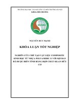 NGHIÊN cứu CHẾ tạo vật LIỆU COMPOSITE SINH học từ NHỰA POLYAMIDE 11 với sợi ĐAY đã được BIẾN TÍNH BẰNG hợp CHẤT SILAN hữu cơ 
