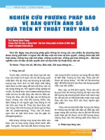 Nghiên cứu phương pháp bảo vệ bản quyền ảnh số dựa trên kỹ thuật thủy vân số