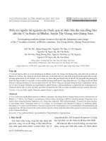 Điều tra nguồn tài nguyên cây thuốc qua tri thức bản địa của đồng bào dân tộc C’tu thuộc xã Bhalee, huyện Tây Giang, tỉnh Quảng Nam