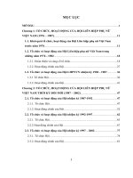 Tổ chức, hoạt động của hội liên hiệp phụ nữ việt nam 1976 2002  002 