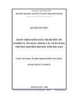 Hoàn thiện kiểm soát nội bộ đối với nghiệp vụ tín dụng trong các ngân hàng thương mại trên địa bàn tỉnh bắc kạn 