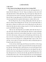 skkn PHÁT HUY NĂNG lực học SINH TRUNG học PHỔ THÔNG THÔNG QUA HOẠT ĐỘNG học tập tìm HIỂU DI sản văn hóa 